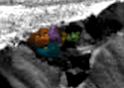 B4INREMOTE-aHR0cDovLzQuYnAuYmxvZ3Nwb3QuY29tLy1qc1RDYl9hVnFZSS9WWDVOT2FsZ3NnSS9BQUFBQUFBQWNmRS9PYUVoWlVYVFMwZy9zNDAwL3VuaXRlJTI1MkMlMkJVRk8lMjUyQyUyQlVGT3MlMjUyQyUyQnNpZ2h0aW5nJTI1MkMlMkJzaWdodGluZ3MlMjUyQyUyQmFsaWVuJTI1MkMlMkJhbGllbnMlMjUyQyUyQkVUJTI1MkMlMkJyYWluYm93JTI1MkMlMkJkb3VibGUlMjUyQyUyQk1heSUyNTJDJTJCMjAxNSUyNTJDJTJCbmV3cyUyNTJDJTJCYXJ0JTI1MkMlMkJpbXBlcnNvbmF0b3IlMjUyQyUyQndhdGVyJTI1MkMlMkJuZXZhZGElMjUyQyUyQnN0cmFuZ2UlMjUyQyUyQmJvbmUlMjUyQyUyQmR1dGNoJTI1MkMlMkJ0b3AlMkJzZWNyZXQlMjUyQyUyQm5hc2ElMjUyQyUyQmxpZmUlMjUyQyUyQm1hcnMzMTEucG5n