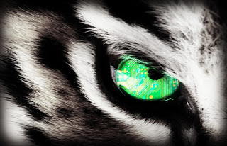 B4INREMOTE-aHR0cDovLzEuYnAuYmxvZ3Nwb3QuY29tLy1FSWgwUWZGdFRkSS9WWVNkZjFhY0ZqSS9BQUFBQUFBQW83TS80YjhYSEZtWkh0by9zMzIwL2Jpb2hhY2tpbmd0aWdlcmV5ZS5qcGc=