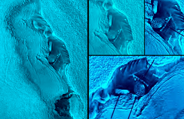 B4INREMOTE-aHR0cDovLzMuYnAuYmxvZ3Nwb3QuY29tLy1GbXJ2TWxLZjd1US9WYVhBQzBnRzRZSS9BQUFBQUFBQU5VNC9xcEJCXy04OHNtZy9zNjQwL21hcnMlMkJkb21lJTJCc2hhcGVkJTJCb2JqZWN0JTJCbmFzYSUyQiUyNTI4MSUyNTI5LnBuZw==