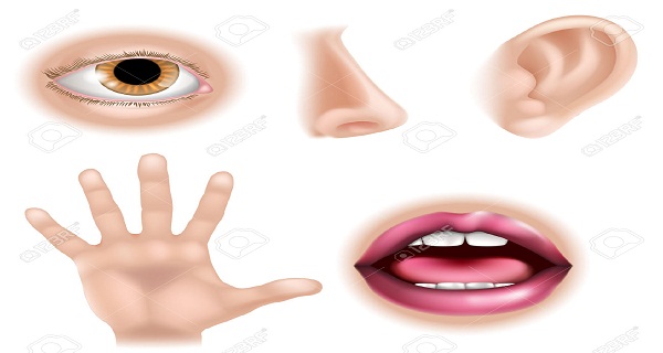 B4INREMOTE-aHR0cDovLzQuYnAuYmxvZ3Nwb3QuY29tLy01UkVkZ0NHeVZFYy9WYjFMNDI3X1gxSS9BQUFBQUFBQXBxZy9EMGZhYmpxUS1Nby9zNjQwL0Rpc2Vhc2VzLUNhdXNlZC1CeS1Ub3VjaGluZy1Zb3UtU2hvdWxkLU5vdC1Ub3VjaC1UaGVzZS03LUJvZHktUGFydHMtV2l0aC1Zb3VyLUJhcmUtSGFuZHMuanBn