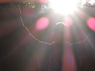 B4INREMOTE-aHR0cDovLzQuYnAuYmxvZ3Nwb3QuY29tLy0tWUNVcFgyT0VzTS9WY2pnSklUSDBCSS9BQUFBQUFBQk1yNC8tbzVJNUYtWXFOOC9zMzIwLzExODY2Mjg1XzEwMTU0MTU4NDc4NjM4MzQ1XzQzMjcyNzA4MzI1NDk1Nzg2Ml9uLmpwZw==