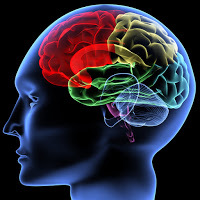 B4INREMOTE-aHR0cDovLzEuYnAuYmxvZ3Nwb3QuY29tLy1oSzdvNE1zWkJJby9WZUkyRFo1WGw2SS9BQUFBQUFBQUNuby9keVZKc19YVFd3by9zMjAwL2ludGVsbGlnZW5jZS5qcGc=