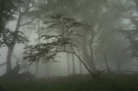 B4INREMOTE-aHR0cDovLzEuYnAuYmxvZ3Nwb3QuY29tLy1yQnhhcVVyalJFdy9WZHF0N1BWUE9WSS9BQUFBQUFBQS1EUS9xLWZueUJ6R1lray9zNDAwL2ZvZzIuanBn