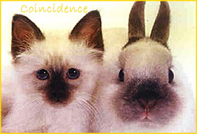 B4INREMOTE-aHR0cDovLzMuYnAuYmxvZ3Nwb3QuY29tLy0xT210N29zSzdVYy9WZDNOVEx5ZnJxSS9BQUFBQUFBQWRsVS96U0cyOXo0NXByQS9zNDAwL2NvaW5jaWRlbmNlLmpwZw==