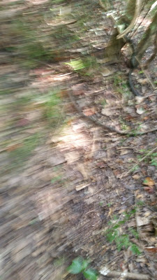 B4INREMOTE-aHR0cDovLzEuYnAuYmxvZ3Nwb3QuY29tLy1SYUdmMFNVQzBBay9WZ0x2cFZtY3VhSS9BQUFBQUFBQkVTby9Ia3U5TXFVc21oQS9zNDAwLzIwMTUwODE1XzE0NTEzOS5qcGc=