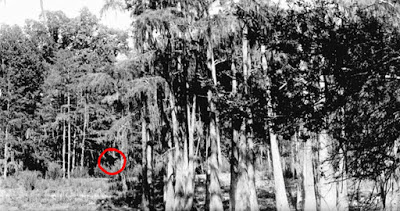 B4INREMOTE-aHR0cDovLzMuYnAuYmxvZ3Nwb3QuY29tLy1BWmQyT3Y2NHRYcy9WaFlsVXJ6ay1ySS9BQUFBQUFBQUxlcy9vUWt2VlVuWFJTTS9zNDAwL0NhcHR1cmUuSlBH
