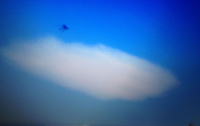 B4INREMOTE-aHR0cDovLzQuYnAuYmxvZ3Nwb3QuY29tLy05SlJxUUZBYVJyWS9WaU1BdW4wSjg5SS9BQUFBQUFBQUx3Yy9ZODhKMWUxRUFZSS9zNDAwL3dpbHNvbi1lbnRpdHktYWxpZW4tY2FsaWZvcm5pYS5qcGc=