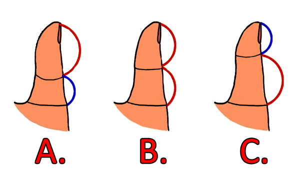 B4INREMOTE-aHR0cDovLzIuYnAuYmxvZ3Nwb3QuY29tLy1BUHl5YWNqNGZoVS9WaXVUU1NYYkxwSS9BQUFBQUFBQXJ2ay8wanFfYXU3VlpZSS9zNjQwL1RoZS1MZW5ndGgtb2YtWW91ci1UaHVtYi1SZXZlYWxzLUhvdy1Zb3UtQmVoYXZlLWluLUxvdmUtUmVsYXRpb25zaGlwcy5wbmc=