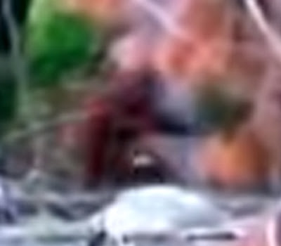 B4INREMOTE-aHR0cDovLzEuYnAuYmxvZ3Nwb3QuY29tLy1ILUtZWlJPUzkway9WaVBKUzczM3JsSS9BQUFBQUFBQkhZdy9jbjYtNEtMQ3cyUS9zNDAwL3RoaWdoLmpwZw==