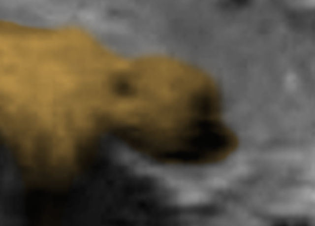 B4INREMOTE-aHR0cDovLzMuYnAuYmxvZ3Nwb3QuY29tLy1xbTdsaUttby02MC9WaTJ3cGl0RGRnSS9BQUFBQUFBQWc5NC9wRUk3ODZUTk9Ray9zNjQwL1VGTyUyNTJDJTJCVUZPcyUyNTJDJTJCc2lnaHRpbmclMjUyQyUyQnNpZ2h0aW5ncyUyNTJDJTJCZmlndXJlJTI1MkMlMkJPTUclMjUyQyUyQmFydGlmYWN0JTI1MkMlMkJhbm9tYWx5JTI1MkMlMkJDYXB0YWluJTJCS2lyayUyNTJDJTJCVE9TJTI1MkMlMkJFbnRlcnByaXNlJTI1MkMlMkJBc3Rlcm9pZCUyNTJDJTJCU3RhciUyQlRyZWslMjUyQyUyQlN0YXJnYXRlJTI1MkMlMkJ0b3AlMkJzZWNyZXQlMjUyQyUyQkVUJTI1MkMlMkJzbm9vcHklMjUyQyUyQmF0bGFudGlzJTI1MkMlMkJXNTYlMjUyQyUyQkdvZCUyNTJDJTJCbWF5YW4lMjUyQyUyQlVLJTI1MkMlMkJzcGlyaXQlMjUyQyUyQmdob3N0JTI1MkMlMkJOaWJpcnUlMjUyQyUyQm1vdW50YWluJTI1MkMlMkJuZXdzJTI1MkMlMkJtb29uJTI1MkMlMkJiZWFyJTI1MkMlMkIlMjUyQyUyQiUyQjMyMzIxLnBuZw==