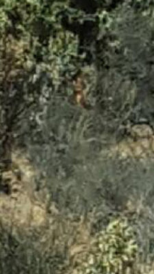 B4INREMOTE-aHR0cDovLzMuYnAuYmxvZ3Nwb3QuY29tLy1aMjRvTnc2c3FMcy9WaHRQWFpvV09RSS9BQUFBQUFBRFRTby9JaFRjSlY4ZHplby9zNDAwLzEyMDc0OTgxXzEwMjAzNDU2MzQwODA3ODUyXzY0MDA4NTM1OTExODI1NDE5Njlfbi5qcGc=