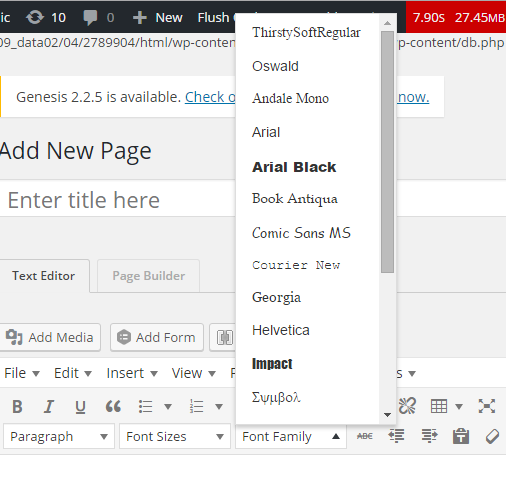 them ten font family vao dropdown font family