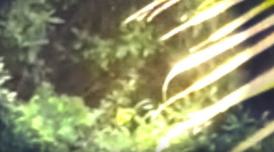 B4INREMOTE-aHR0cDovLzEuYnAuYmxvZ3Nwb3QuY29tLy1zc3lXcVFSTm4tby9WcUNwdlp6RjNiSS9BQUFBQUFBQVBQby94VVlic1h3dXh3dy9zNDAwL0NhcHR1cmUuSlBH