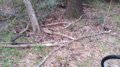 B4INREMOTE-aHR0cDovLzIuYnAuYmxvZ3Nwb3QuY29tLy13VURZOEpLQm0wOC9WcGNLX29GTUdESS9BQUFBQUFBQlJRMC9PdTBvSGFYUDk2WS9zNDAwLzIwMTUxMDMwXzE2MjkzNS5qcGc=