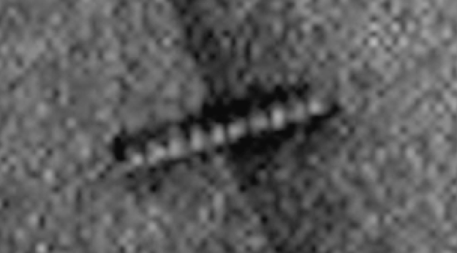 B4INREMOTE-aHR0cDovLzIuYnAuYmxvZ3Nwb3QuY29tLy1CRWpqOFpIM3dXRS9WckEwR2txRVFESS9BQUFBQUFBQWtsTS9RanpFM3F0UlQ5QS9zNjQwL1VGTyUyNTJDJTJCVUZPcyUyNTJDJTJCZWd5cHRpYW4lMjUyQyUyQnNpZ2h0aW5ncyUyNTJDJTJCS3lsbyUyNTJDJTJCQkI4JTI1MkMlMkJGb3JjZSUyQkF3YWtlbnMlMjUyQyUyQmFyY2hhZW9sb2d5JTI1MkMlMkIxMDElMjUyQyUyQkVudGVycHJpc2UlMjUyQyUyQmFzdHJvbm9teSUyNTJDJTJCc2NpZW5jZSUyNTJDJTJCU3RhcmdhdGUlMjUyQyUyQkJpbGwlMkJHYXRlcyUyNTJDJTJCbmFubyUyNTJDJTJCdGVjaCUyNTJDJTJCb3ZuaSUyNTJDJTJCb21uaSUyNTJDJTJCd29ybSUyNTJDJTJCSnVzdGluJTJCQmllYmVyJTI1MkMlMkJNYXJzJTI1MkMlMkJsaWdodCUyNTJDJTJCaG9seSUyNTJDJTJCYmlibGUlMjUyQyUyQk9iYW1hJTI1MkMlMkJhbGllbiUyNTJDJTJCRE9FJTI1MkMlMkIxMTMucG5n