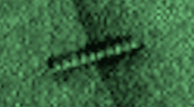 B4INREMOTE-aHR0cDovLzIuYnAuYmxvZ3Nwb3QuY29tLy1DUEFKa0pteTVjby9WckEwR2loS2tySS9BQUFBQUFBQWtsSS9NV1lxRzE0Umlacy9zNjQwL1VGTyUyNTJDJTJCVUZPcyUyNTJDJTJCZWd5cHRpYW4lMjUyQyUyQnNpZ2h0aW5ncyUyNTJDJTJCS3lsbyUyNTJDJTJCQkI4JTI1MkMlMkJGb3JjZSUyQkF3YWtlbnMlMjUyQyUyQmFyY2hhZW9sb2d5JTI1MkMlMkIxMDElMjUyQyUyQkVudGVycHJpc2UlMjUyQyUyQmFzdHJvbm9teSUyNTJDJTJCc2NpZW5jZSUyNTJDJTJCU3RhcmdhdGUlMjUyQyUyQkJpbGwlMkJHYXRlcyUyNTJDJTJCbmFubyUyNTJDJTJCdGVjaCUyNTJDJTJCb3ZuaSUyNTJDJTJCb21uaSUyNTJDJTJCd29ybSUyNTJDJTJCSnVzdGluJTJCQmllYmVyJTI1MkMlMkJNYXJzJTI1MkMlMkJsaWdodCUyNTJDJTJCaG9seSUyNTJDJTJCYmlibGUlMjUyQyUyQk9iYW1hJTI1MkMlMkJhbGllbiUyNTJDJTJCRE9FJTI1MkMlMkIxMTEucG5n