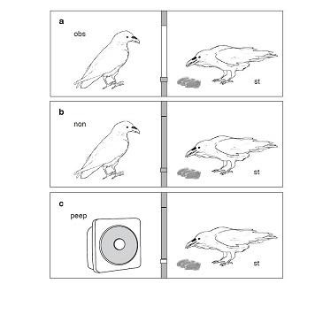 B4INREMOTE-aHR0cDovLzQuYnAuYmxvZ3Nwb3QuY29tLy13bTlKc0tTRU0xcy9Wckt6a0hGbFBVSS9BQUFBQUFBQkw5NC9sTWFKMnNLMkh5Yy9zNDAwLzEwNzk4OV93ZWIuanBn