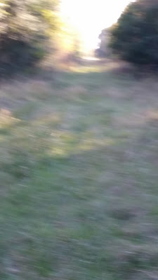 B4INREMOTE-aHR0cHM6Ly8yLmJwLmJsb2dzcG90LmNvbS8tVFd4N25EeURqTFkvVnJWOE5maVotSUkvQUFBQUFBQUJVR0EvcDY2a2NaRDJhcG8vczQwMC8yMDE1MTEyMl8xNjAyMzAuanBn