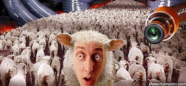 B4INREMOTE-aHR0cHM6Ly8zLmJwLmJsb2dzcG90LmNvbS8tSDY1T0hQbjFGa0kvVnZMWk5LNFRrckkvQUFBQUFBQUFDczgvRmNLSHVGVi1Ydlk4cGVXMzEwSHpLazJDTHdzSEdRaFlnL3M2NDAvc2hlZXBsZS5qcGc=