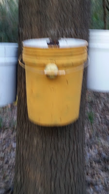 B4INREMOTE-aHR0cHM6Ly8yLmJwLmJsb2dzcG90LmNvbS8tVTBrWHN2OFQ0dGsvVnZhd3F5b3hzN0kvQUFBQUFBQUJaUVUvZGljenhlQ0JwQmtyMUlrZTRWQTZIWU9sbDFZSVdQOUNBL3M0MDAvMzYuanBn
