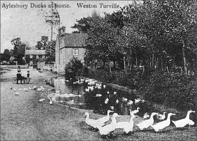 Weston Turville