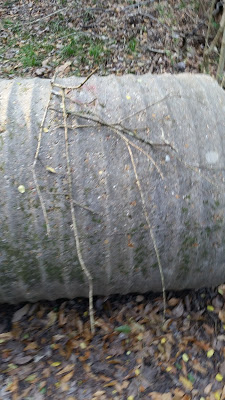 B4INREMOTE-aHR0cHM6Ly8yLmJwLmJsb2dzcG90LmNvbS8tREEtS2RuSTJ5UTAvVndnUXN3MExhQ0kvQUFBQUFBQUJhdkkvUGlXU0c5NWNQcnN1bk1XcExoakdVWFIweDNfRzBfRHlRL3M0MDAvMjAxNjAxMzFfMTY1MDU5LmpwZw==
