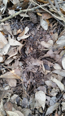 B4INREMOTE-aHR0cHM6Ly8xLmJwLmJsb2dzcG90LmNvbS8tbkt5WWg3eTF1VWsvVnhsQnpnVHNmLUkvQUFBQUFBQUJjVGsvSkxvWk11alBYc1V5eERnajBqV2ZEOGt0WXRZYUZLeDhnQ0xjQi9zNDAwLzIwMTYwMjEyXzA5MzgyOS5qcGc=
