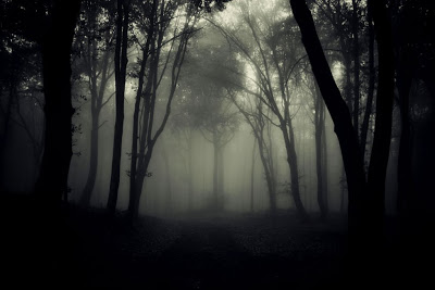 B4INREMOTE-aHR0cHM6Ly8zLmJwLmJsb2dzcG90LmNvbS8tWjBMV0NlX0NTNkUvVjlJSlprcEpTTUkvQUFBQUFBQUFXdEUvTUlWRlpsN1BXelk1NDJDTXhudGJ6OW5JenNaVE1SLWRBQ0xjQi9zNDAwL3NodXR0ZXJzdG9ja18xMzEzNzQ5MjUuanBn