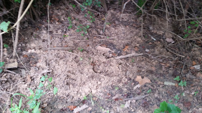 B4INREMOTE-aHR0cHM6Ly8xLmJwLmJsb2dzcG90LmNvbS8tdzc5MmJ3ZW5WLXcvVl93VnYwNzl6VkkvQUFBQUFBQUJ0TDQvYWdLNzNyYjhDc2tWd3F4UVpNOVhwbW04Y2VnNnpCZk9RQ0xjQi9zNDAwLzIwMTYwNzMxXzEwNDQwMS5qcGc=