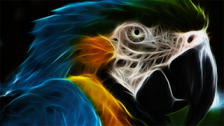 B4INREMOTE-aHR0cHM6Ly8zLmJwLmJsb2dzcG90LmNvbS8tNHZ2NVZHb0JHaU0vV0QyUzl5el80REkvQUFBQUFBQUFXcncvZFJ1bnptMkIxVGtTUUtfUzFoZ29ObEotemluaXd1aWR3Q0xjQi9zMzIwL2dsb3ctaW4tdGhlLWRhcmstcGFycm90LnBuZw==