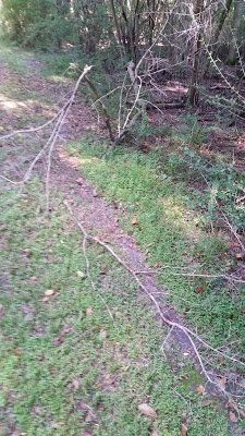 B4INREMOTE-aHR0cHM6Ly8xLmJwLmJsb2dzcG90LmNvbS8teTZLUjVQVnRGYkEvV0Q4RDg2eFdTNEkvQUFBQUFBQUJ4N2MvTk5kS2YwSDBLN1lZOElOTU1valNMUGYxdU11UnVVLWtRQ0xjQi9zNDAwLzIwMTYwOTE4XzE2NTE0My5qcGc=