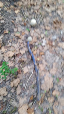 B4INREMOTE-aHR0cHM6Ly80LmJwLmJsb2dzcG90LmNvbS8tOHFNOTZLcUhSQlUvV0V6aUk2SG1OckkvQUFBQUFBQUJ5d3cvaFJDblJkbVY2eUlHUGlaMEQxOGUtUE9xd1N3UEFSeVlRQ0xjQi9zNDAwLzIwMTYwOTIzXzE3MjQzNi5qcGc=