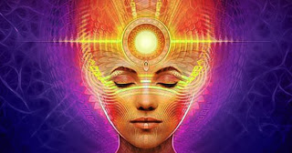 B4INREMOTE-aHR0cHM6Ly80LmJwLmJsb2dzcG90LmNvbS8tUm9hTGk1ZlBFMGcvV0ZneEs4TVVITUkvQUFBQUFBQUFGWmMvXzAzaGk2WW9kMzRhaXlQTjlDeWY5cmdUSTM4YzJpVk9RQ0xjQi9zMzIwL1BpbmVhbEdsYW5kLmpwZw==