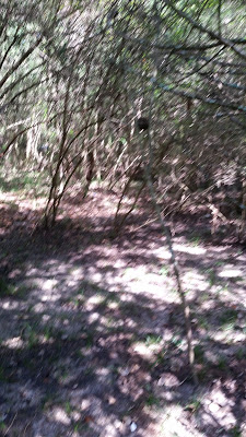 B4INREMOTE-aHR0cHM6Ly8xLmJwLmJsb2dzcG90LmNvbS8tcHkweHVua2ZyWlkvV0drdEtCSXkzN0kvQUFBQUFBQUIwbjAvMHU2NTNtQzJUUkF2bU9uaWYxRUVMdmZyQmZqUE51bFlnQ0xjQi9zNDAwLzIwMTYxMDAyXzE0MzIyNC5qcGc=