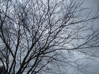 B4INREMOTE-aHR0cHM6Ly8yLmJwLmJsb2dzcG90LmNvbS8tTWQzUXY2eGlxaXcvV0hwSWx0ZXpyY0kvQUFBQUFBQUFMQWsvZlZSR3o0VHo1WjB4WUtSWmlKV0pib1lRT2J1TlVsTVlnQ0xjQi9zMzIwL0lNR182MDU1LkpQRw==