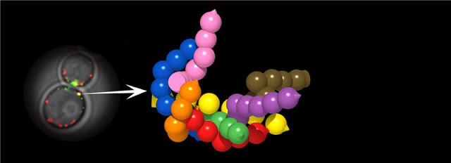 B4INREMOTE-aHR0cHM6Ly8xLmJwLmJsb2dzcG90LmNvbS8tZnJ6R3IyQkk3UEEvV0lyZFg5NUJDTkkvQUFBQUFBQUJUSVkvdTlDdkt5VjFuOVlzN29JcVNzUnlPSFd6d01abU9VUl9BQ0xjQi9zNjQwLzAwX0NvbXBhcmlzb24lMkJvZiUyQnRlY2huaXF1ZXMucG5n