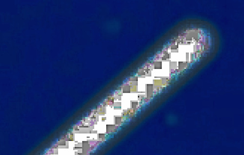 B4INREMOTE-aHR0cHM6Ly8yLmJwLmJsb2dzcG90LmNvbS8teFhqWE9BWWYtV00vV0ptMUUwWTdSakkvQUFBQUFBQUF4R1UvbHBHeHJLY2FlME1VanZ1b2QzcTNaQzMxWGFZV3I3eWRnQ0xjQi9zNjQwL3N1biUyNTJDJTJCYXN0cm9ub215JTI1MkMlMkJiaW9sb2d5JTI1MkMlMkJhcmNoZW9sb2d5JTI1MkMlMkJHb2QlMjUyQyUyQk5lbGxpcyUyQkFGQiUyNTJDJTJCTW9vbiUyNTJDJTJCdW5pZGVudGlmaWVkJTJCZmx5aW5nJTJCb2JqZWN0JTI1MkMlMkJzcGFjZSUyNTJDJTJCVUZPJTI1MkMlMkJVRk9zJTI1MkMlMkJzaWdodGluZyUyNTJDJTJCc2lnaHRpbmdzJTI1MkMlMkJhbGllbiUyNTJDJTJCYWxpZW5zJTI1MkMlMkJGb3glMjUyQyUyQk5ld3MlMjUyQyUyQkNCUyUyNTJDJTJCTkJDJTI1MkMlMkJBQkMlMjUyQyUyQnRyZWFzdXJlJTI1MkMlMkJwaXJhdGUlMjUyQyUyQmNyYWZ0JTI1MkMlMkJzdGF0aW9uJTI1MkMlMkJuZXclMkJTVFMlMkIxMzQlMjUyQzIyLnBuZw==