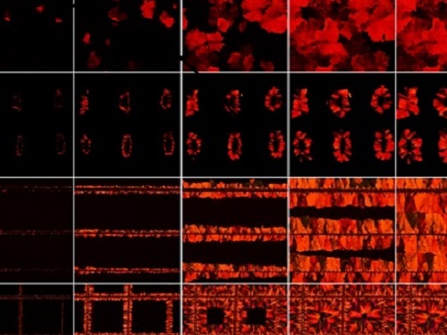B4INREMOTE-aHR0cHM6Ly8zLmJwLmJsb2dzcG90LmNvbS8tNExGZjRidk1zLVkvV0x6bl9PYmJNbkkvQUFBQUFBQUJWUnMvc3VPamE4YVc4LW9DNWpRNXVJTnp6RTBFUGZKcFR4SVNnQ0xjQi9zNjQwL2NyeXNzdGFsJTJCQW1hc3NpYW4lMkIyLmpwZw==