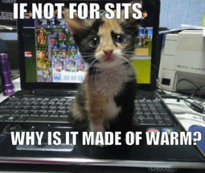 B4INREMOTE-aHR0cHM6Ly80LmJwLmJsb2dzcG90LmNvbS8tcTNacjZBdjZ0R0UvV0dsWTNYMXF3QUkvQUFBQUFBQUFhdjgvRXd4OGN3QWFyT1ljTWdUdTJORGg0MENHb2toZHJCa19RQ0xjQi9zNDAwL3NhdCUyQnBldGNvdmVyLmpwZw==